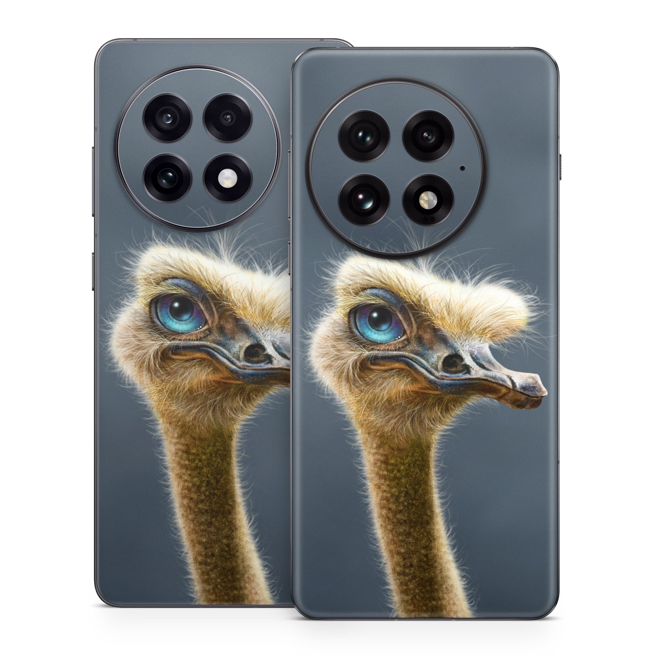 Ostrich Totem - OnePlus 13 Skin