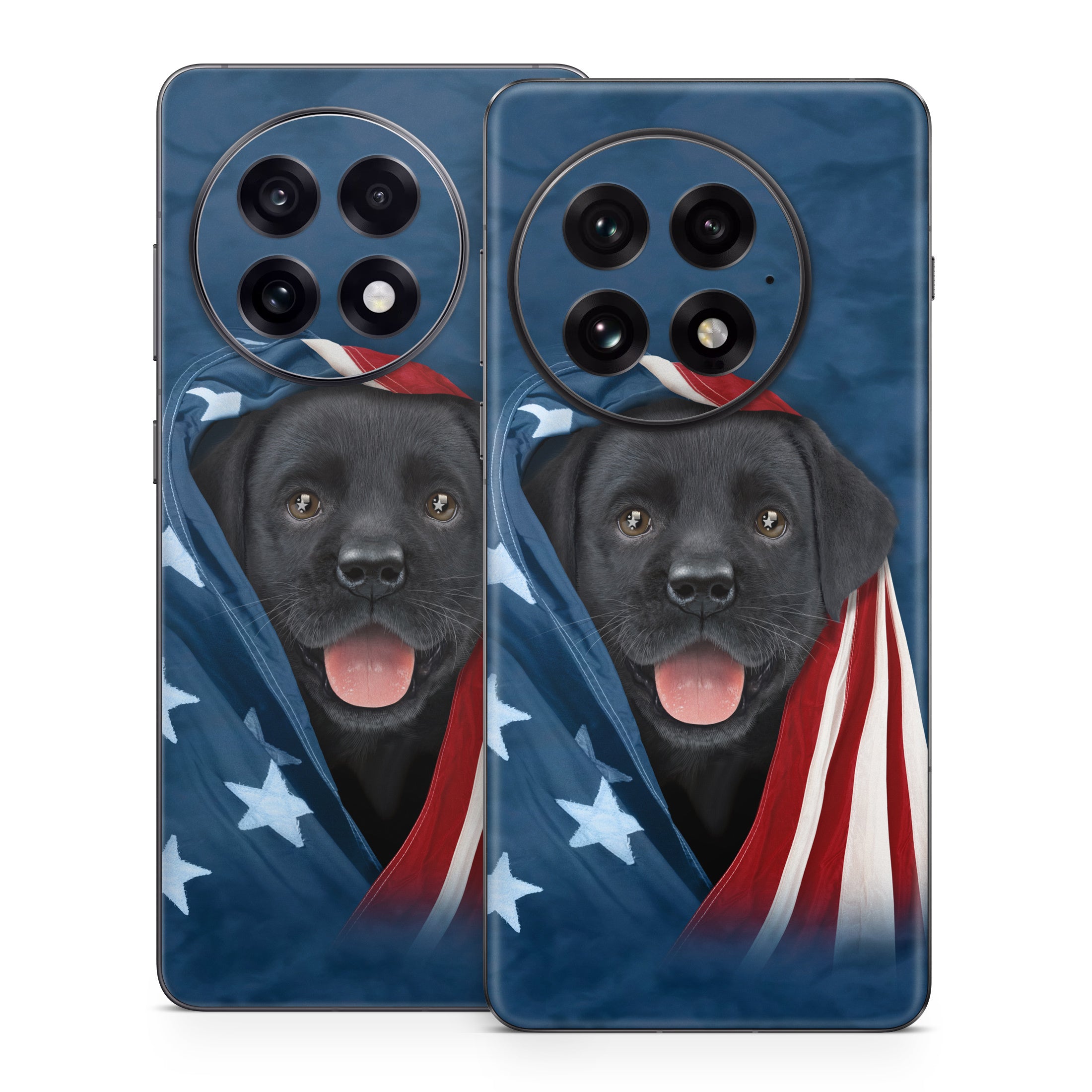 Patriotic Lab - OnePlus 13 Skin