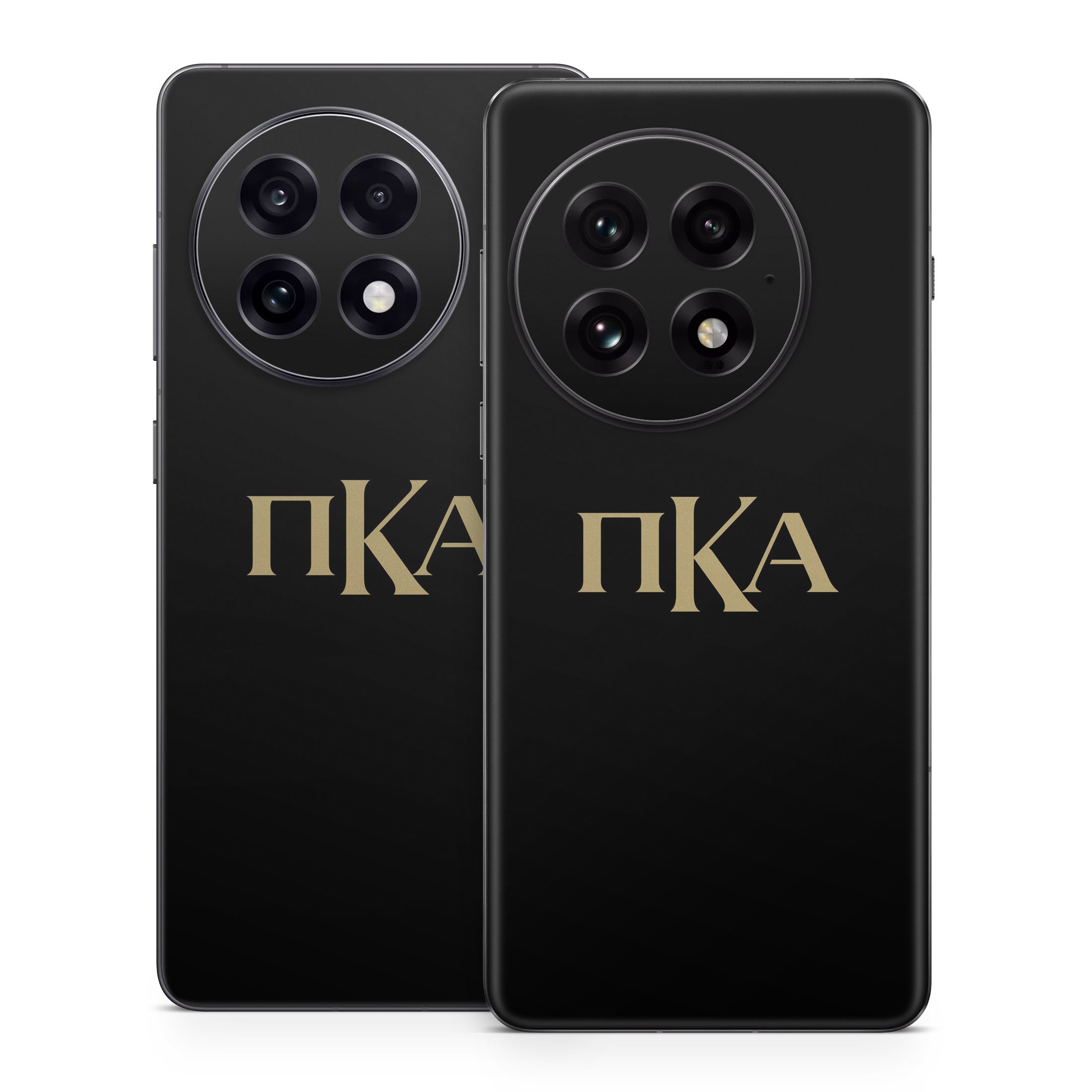 Pi Kappa Alpha Greek Letters Black - OnePlus 13 Skin