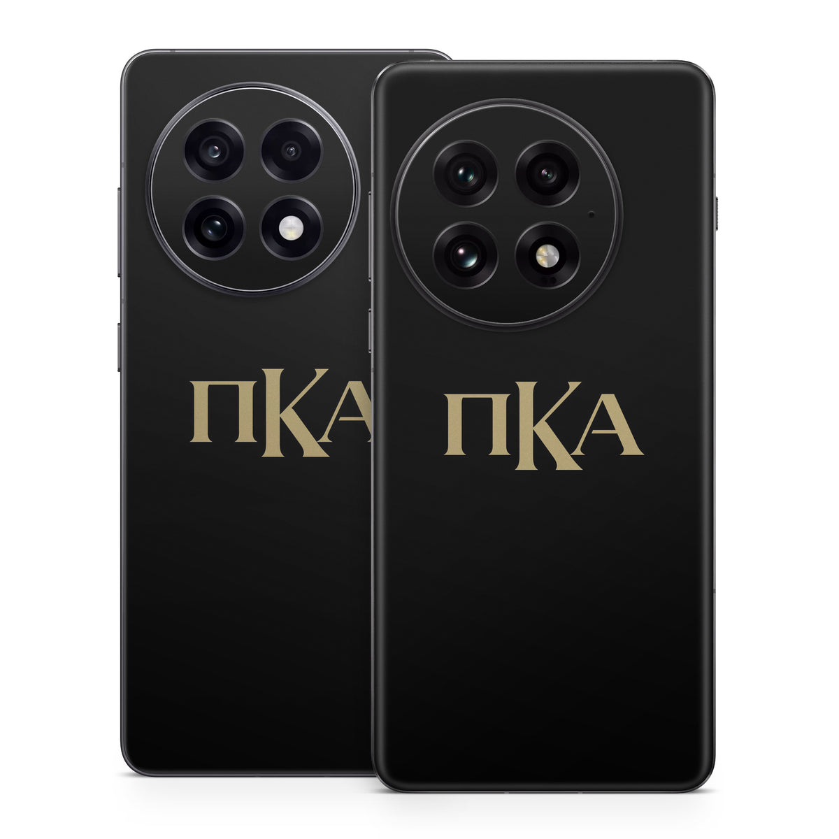 Pi Kappa Alpha Greek Letters Black - OnePlus 13 Skin