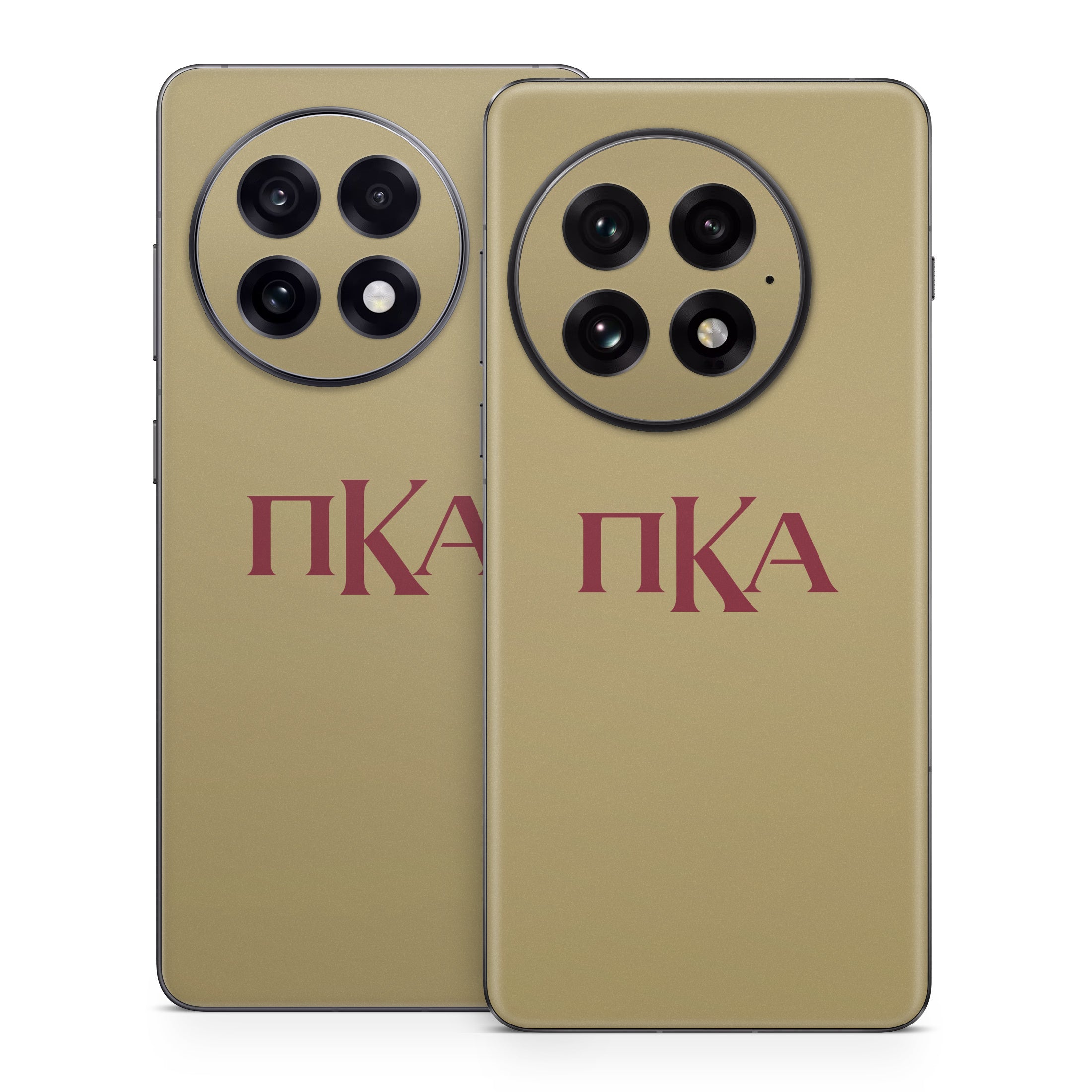 Pi Kappa Alpha Greek Letters Gold - OnePlus 13 Skin