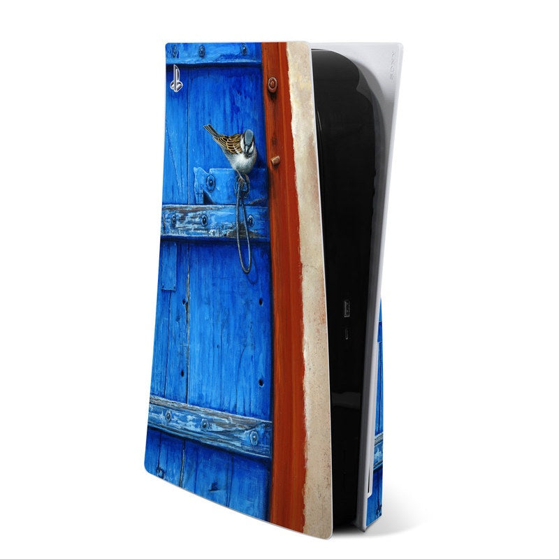 Blue Door - Sony PS5 Skin