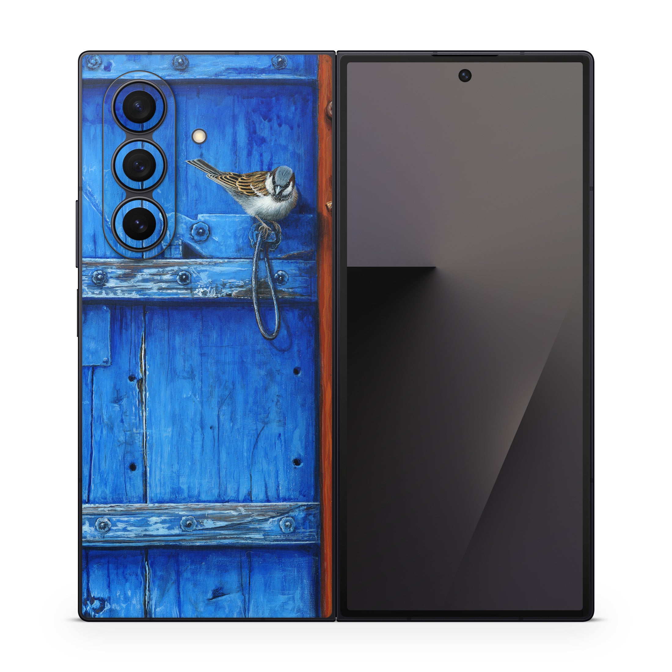 Blue Door - Samsung Galaxy Z Fold7 Skin