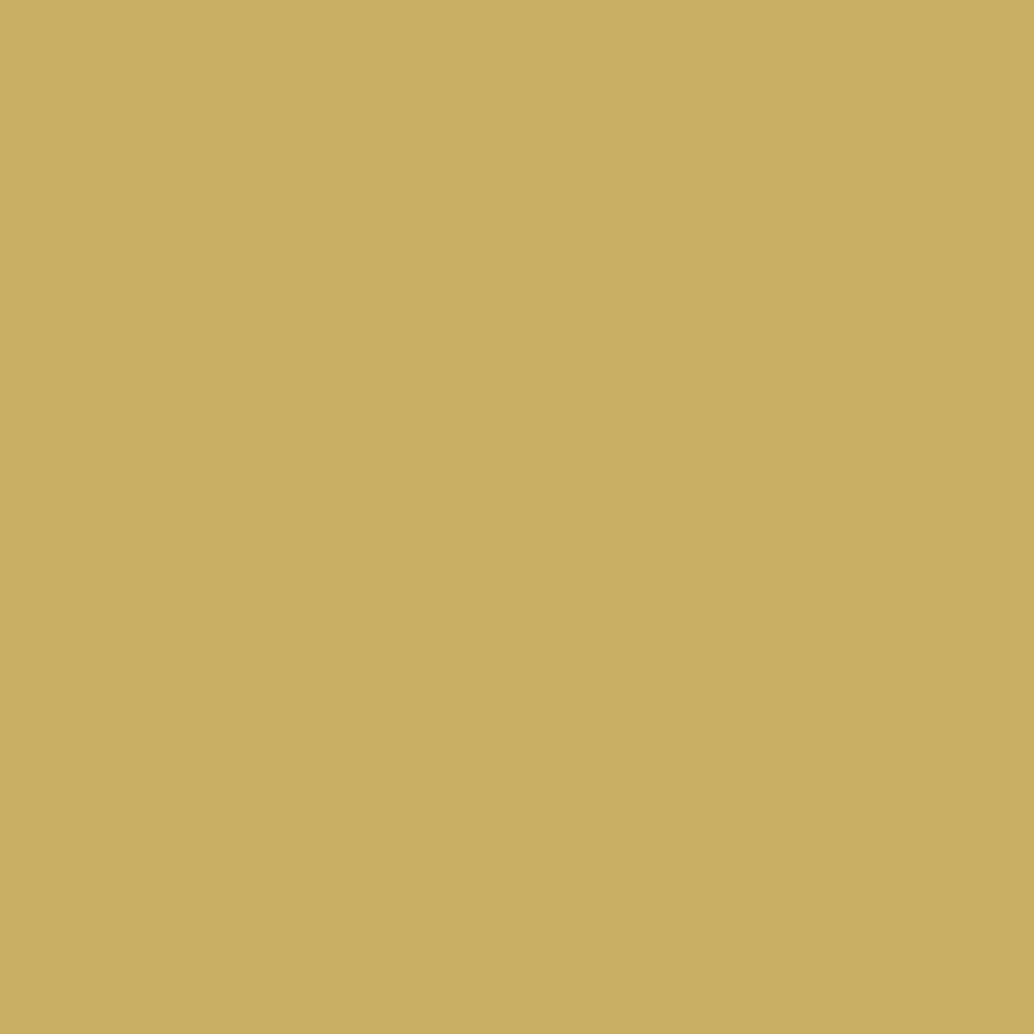 Solid State Mustard - DJI Avata Skin