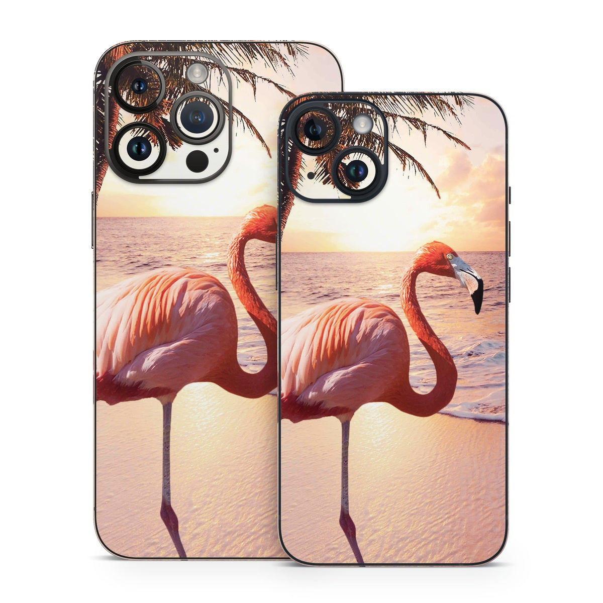 Flamingo Palm Flamingo Palm