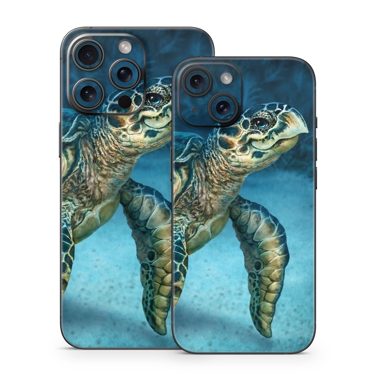Sea Turtle Sea Turtle