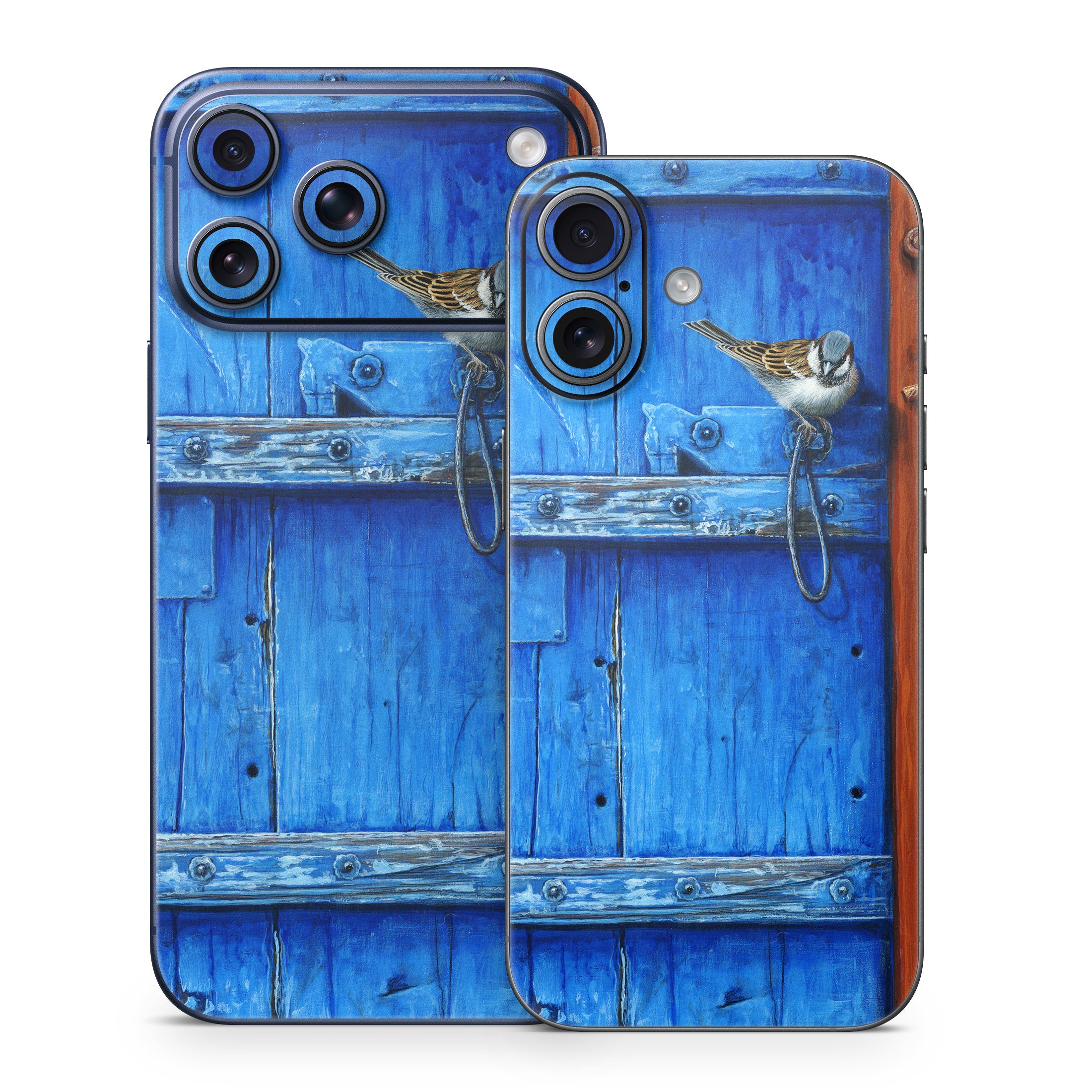Blue Door - Apple iPhone 17 Skin