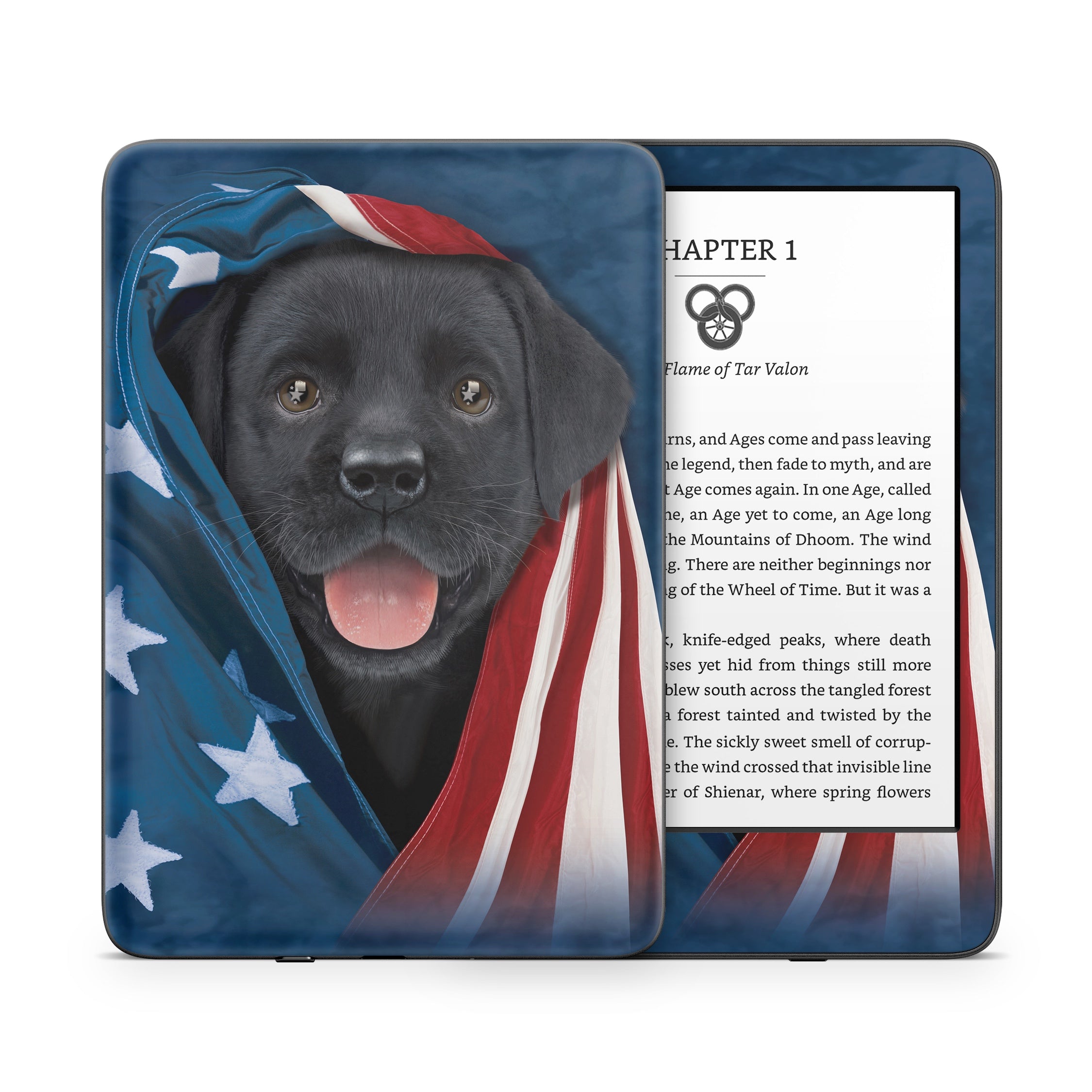 Patriotic Lab - Amazon Kindle Skin