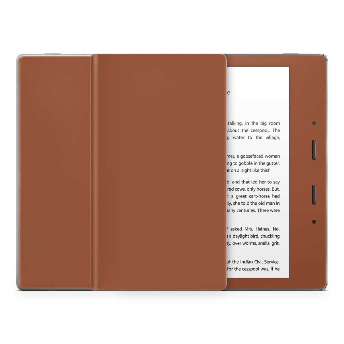 Solid State Cinnamon - Amazon Kindle Skin