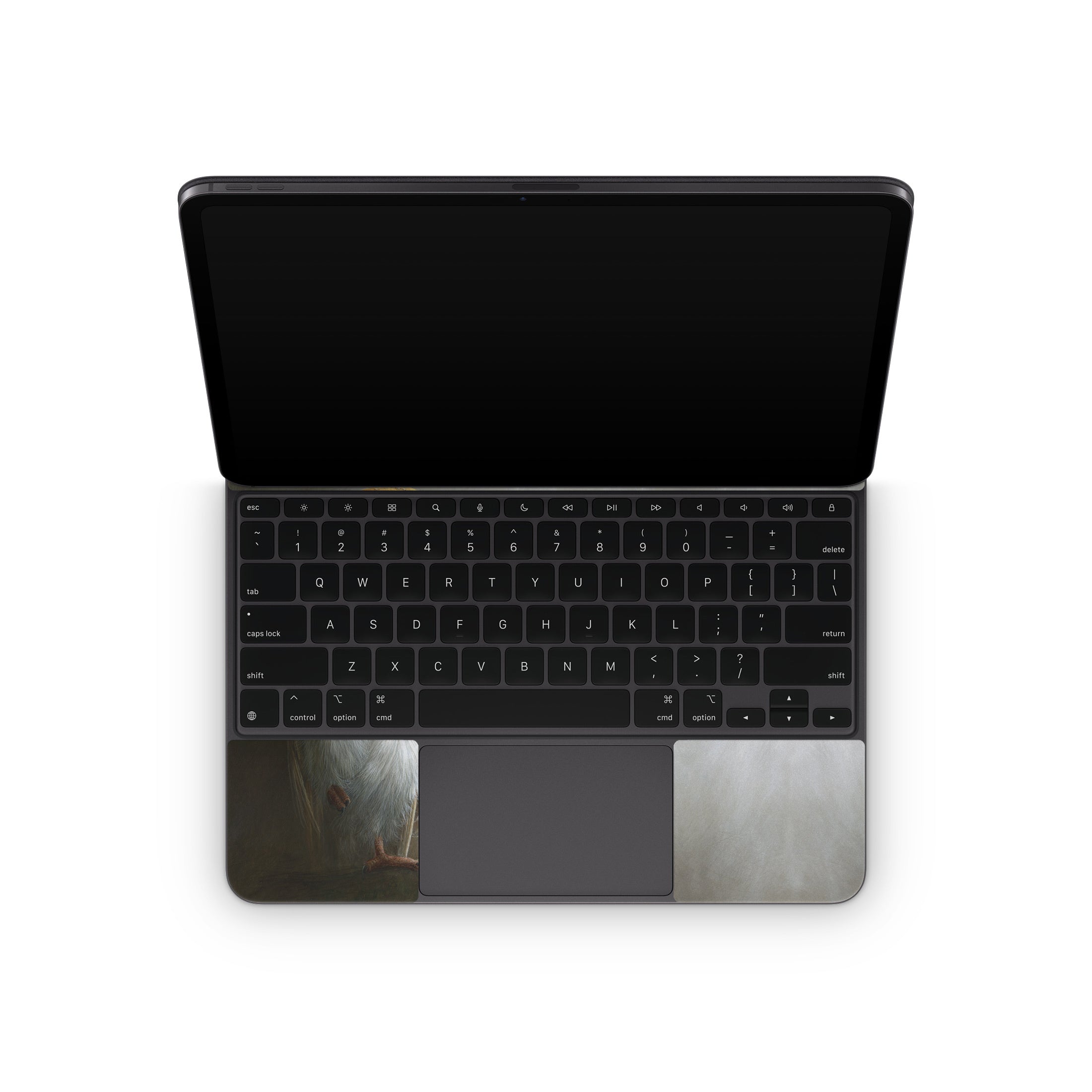 Barn Owl - Apple Magic Keyboard for iPad Skin