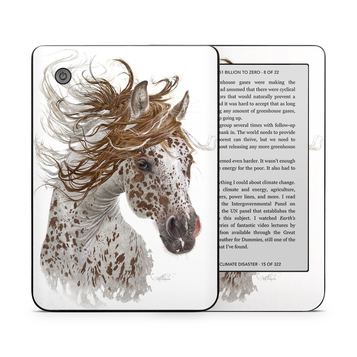 Appaloosa - Kobo Clara 2E Skin - Antonia Neshev - DecalGirl