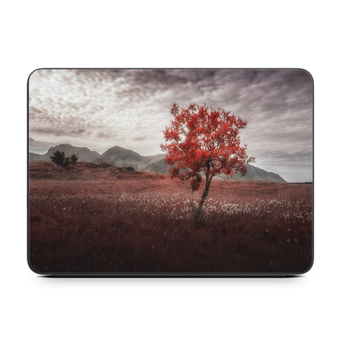 Lofoten Tree - Apple Smart Keyboard Folio Skin