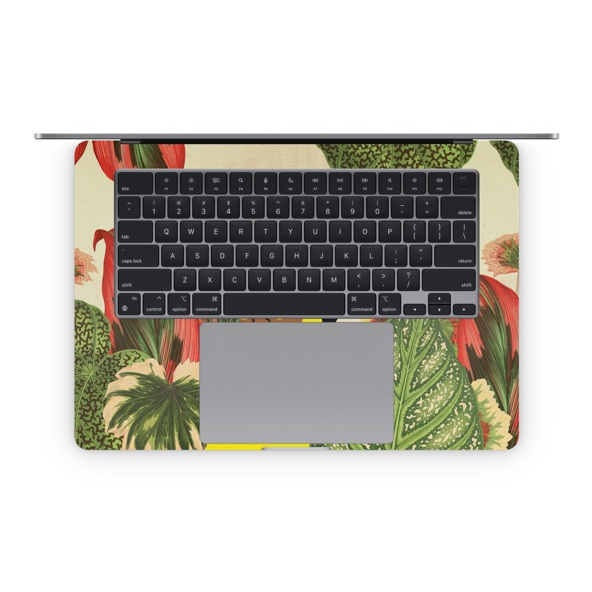 Bayou Girl - Apple MacBook Skin - Tabitha Brown - DecalGirl