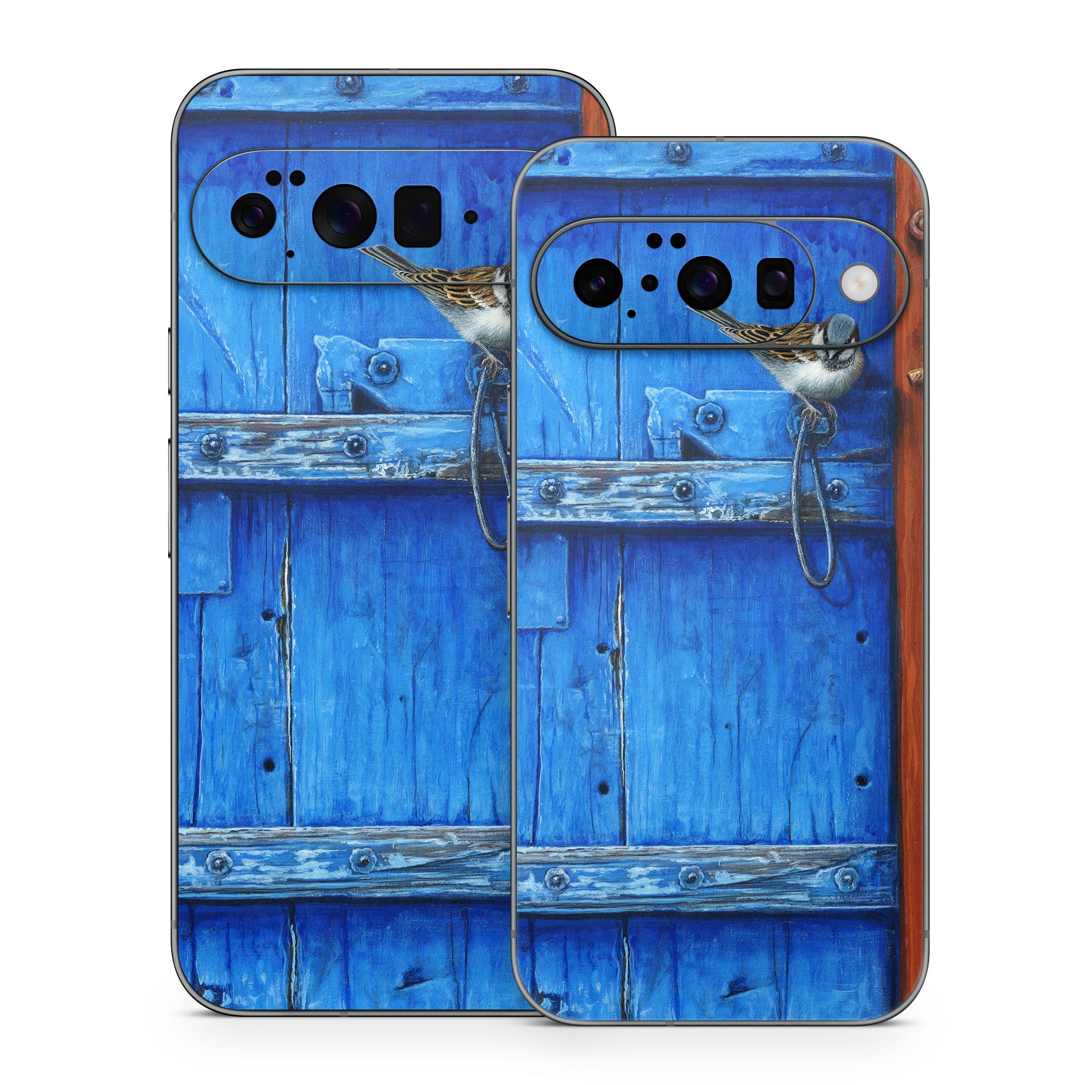 Blue Door - Google Pixel 10 Skin