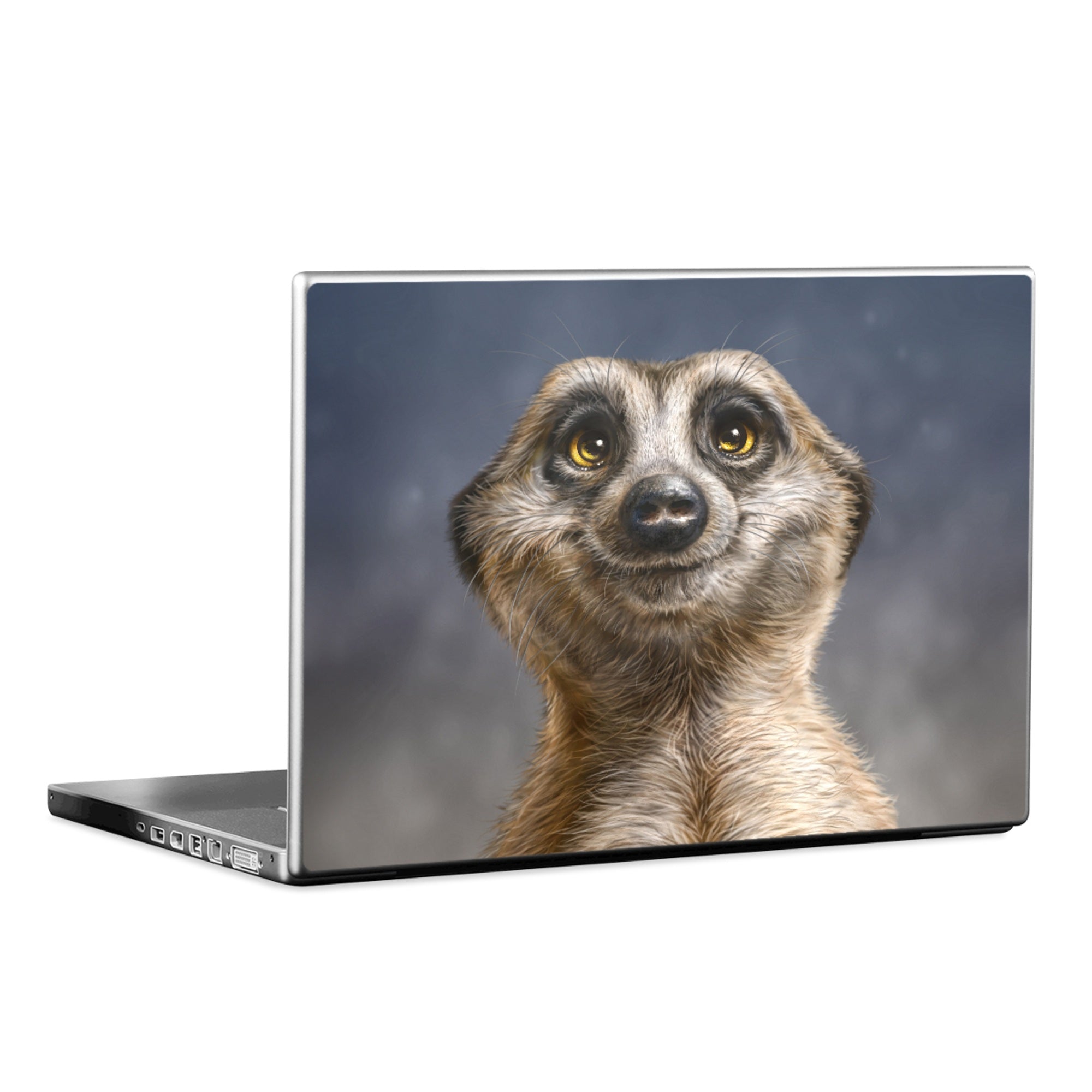 Meerkat - Laptop Lid Skin