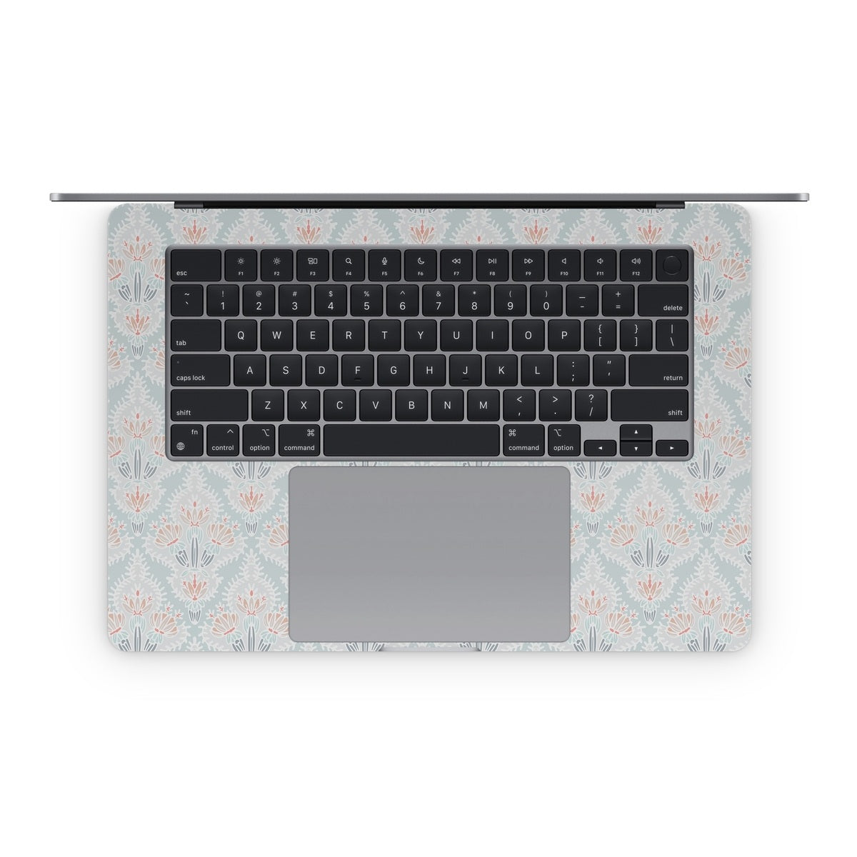 Cacti - Apple MacBook Skin