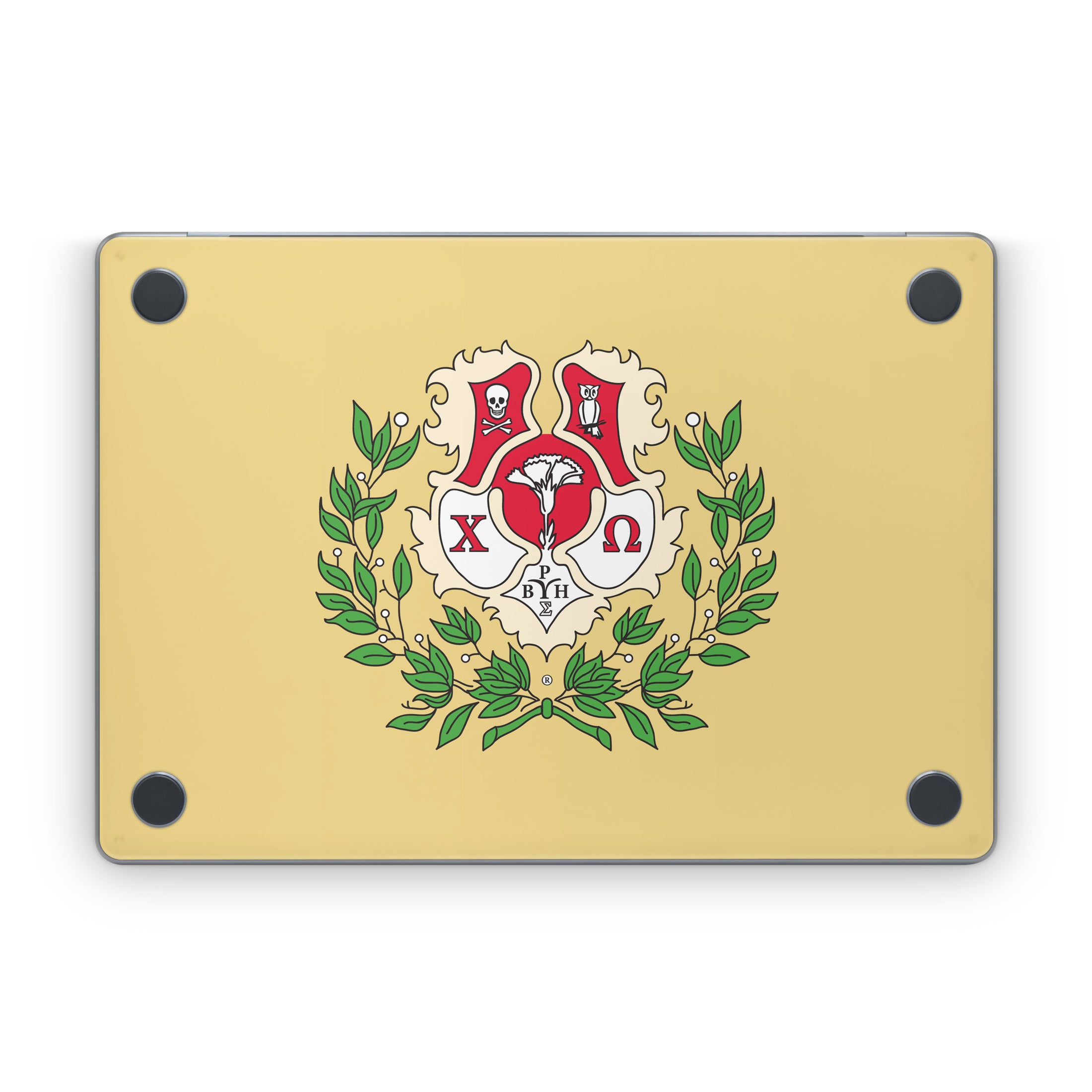 Chi Omega Crest Straw - Apple MacBook Skin