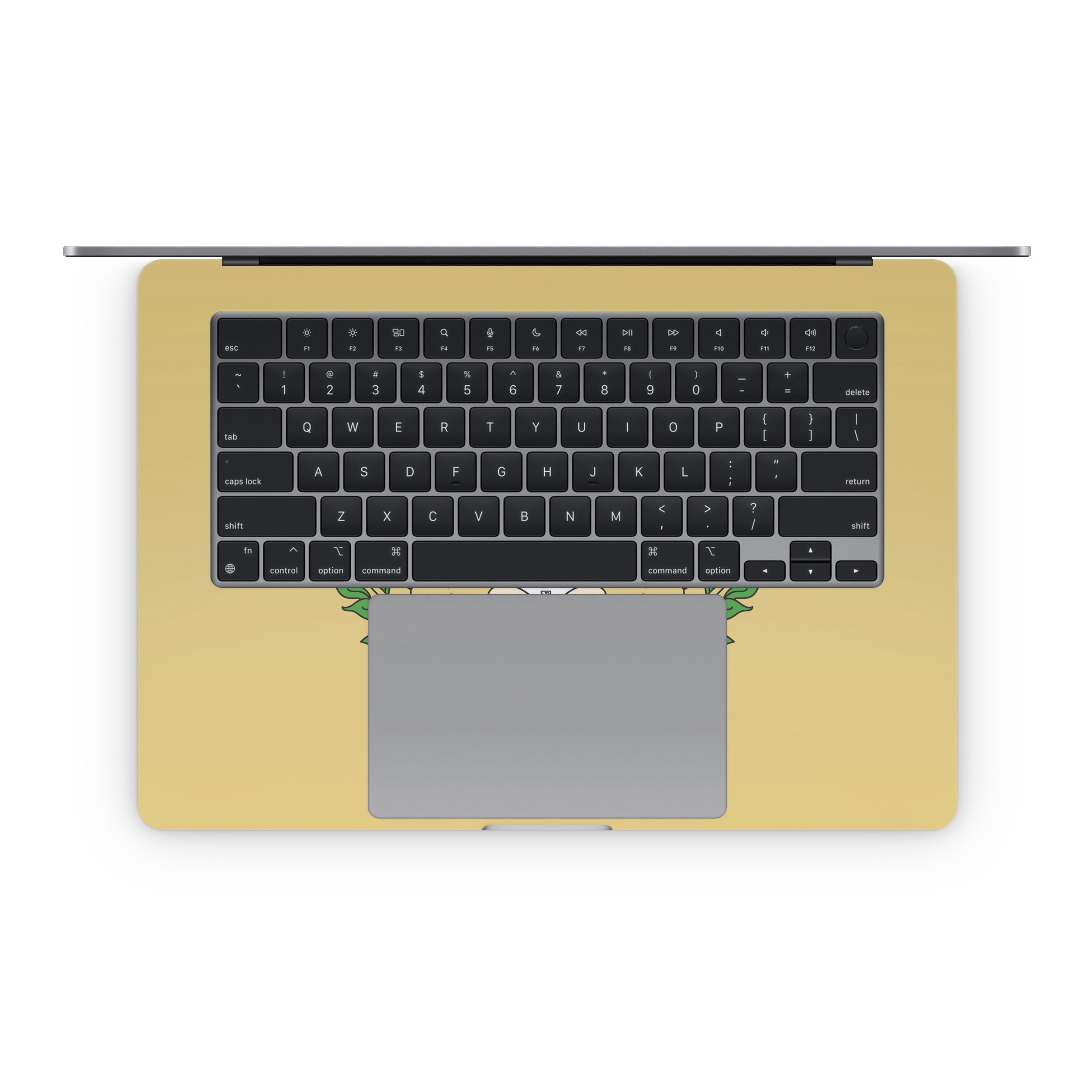 Chi Omega Crest Straw - Apple MacBook Skin