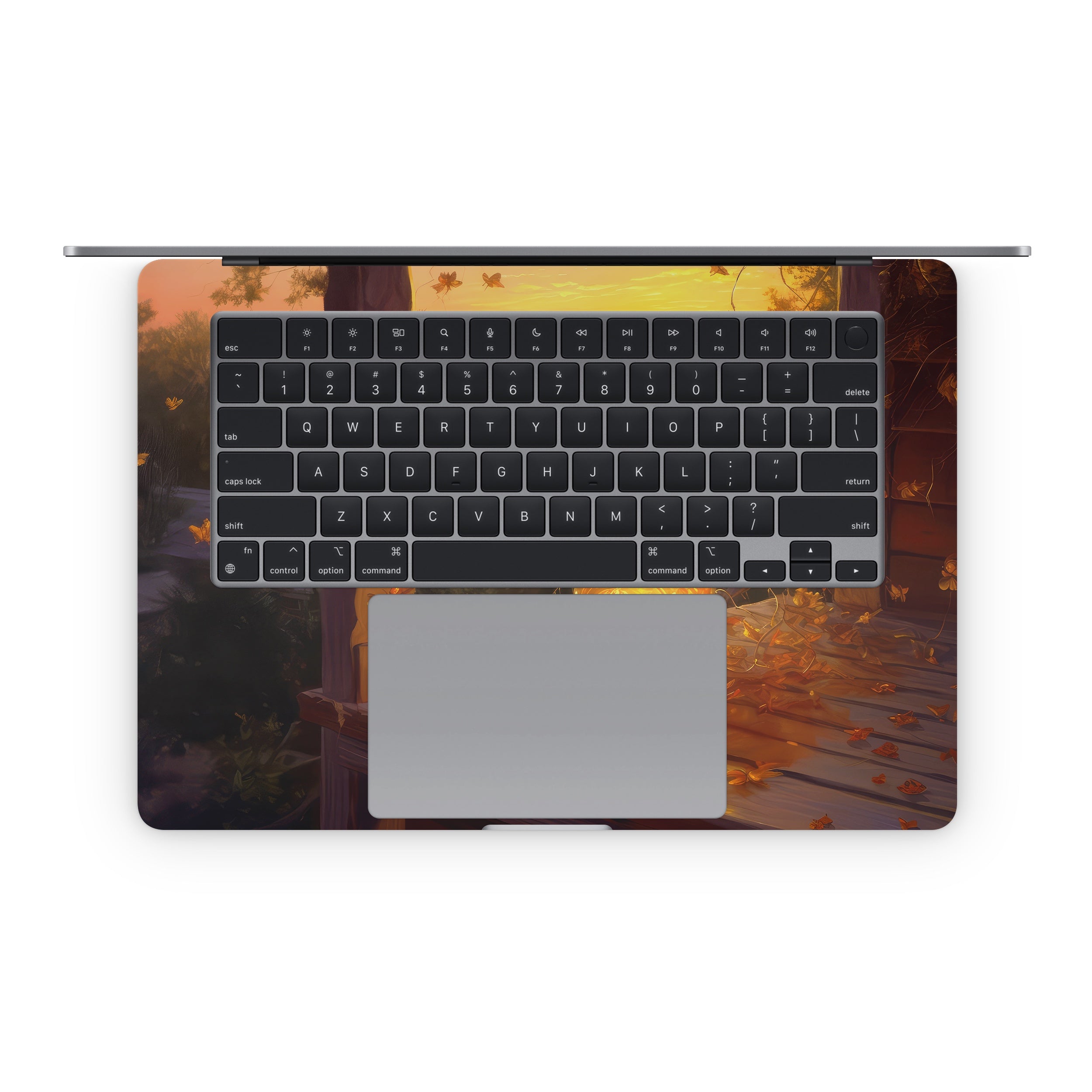 Country Summer - Apple MacBook Skin