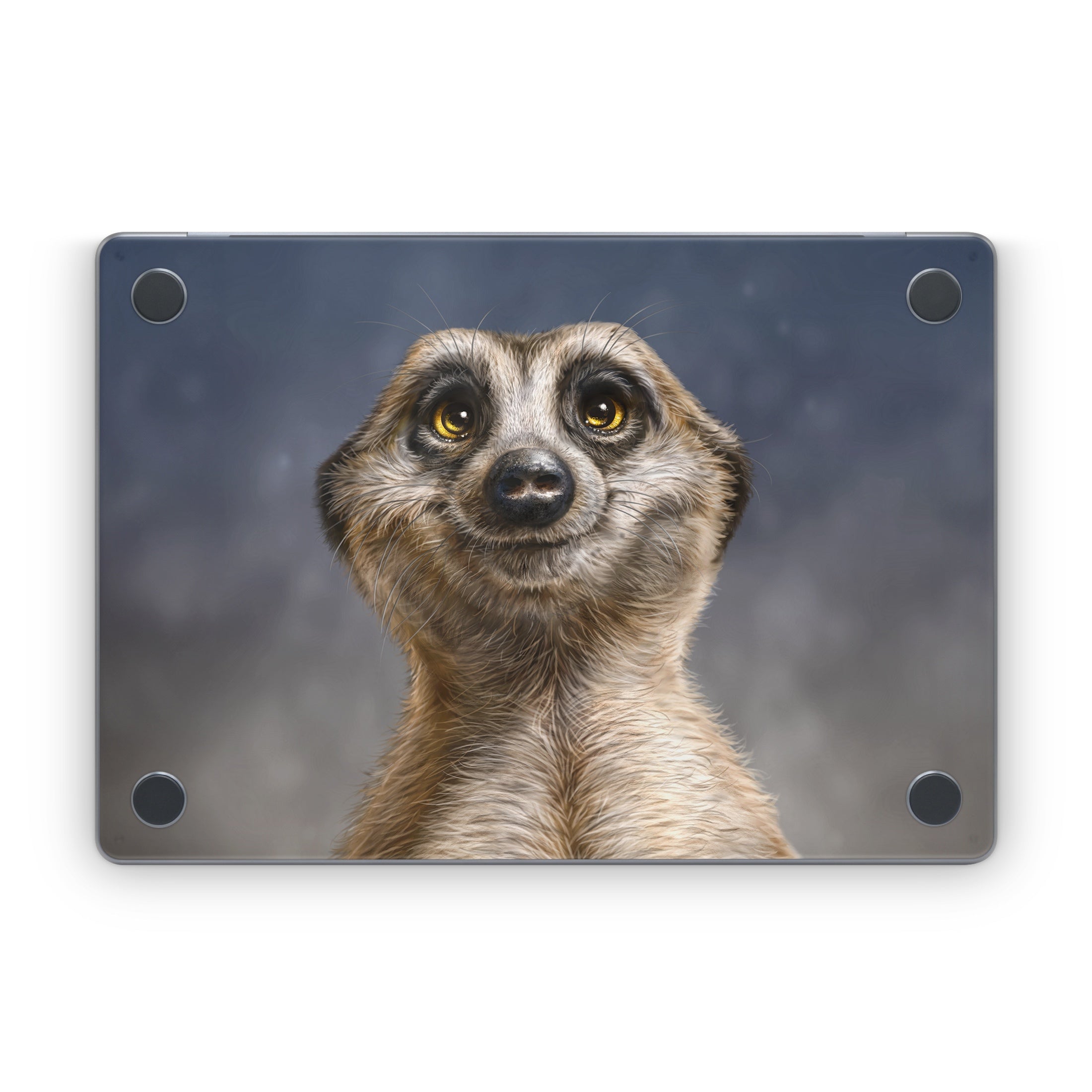 Meerkat - Apple MacBook Skin