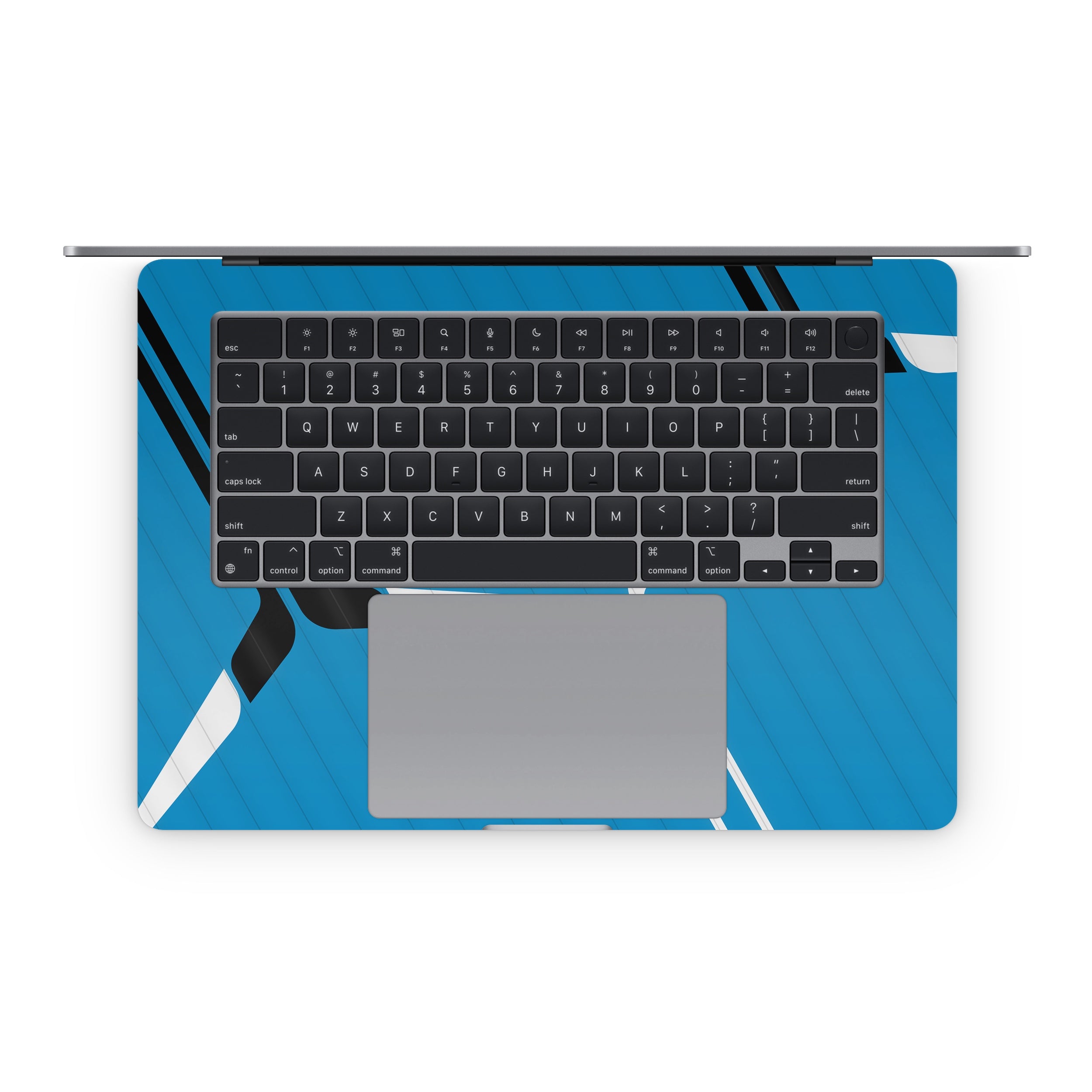 The Fly Guy - Apple MacBook Skin