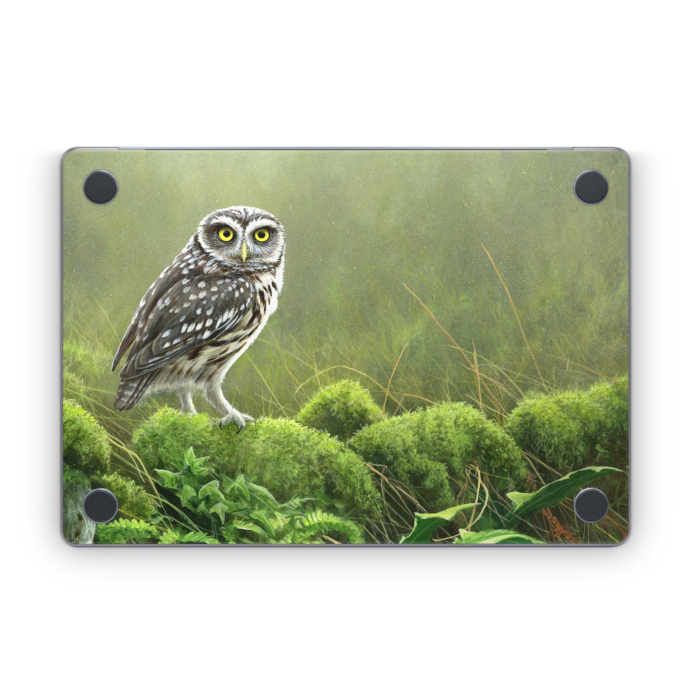 Tumbledown - Apple MacBook Skin