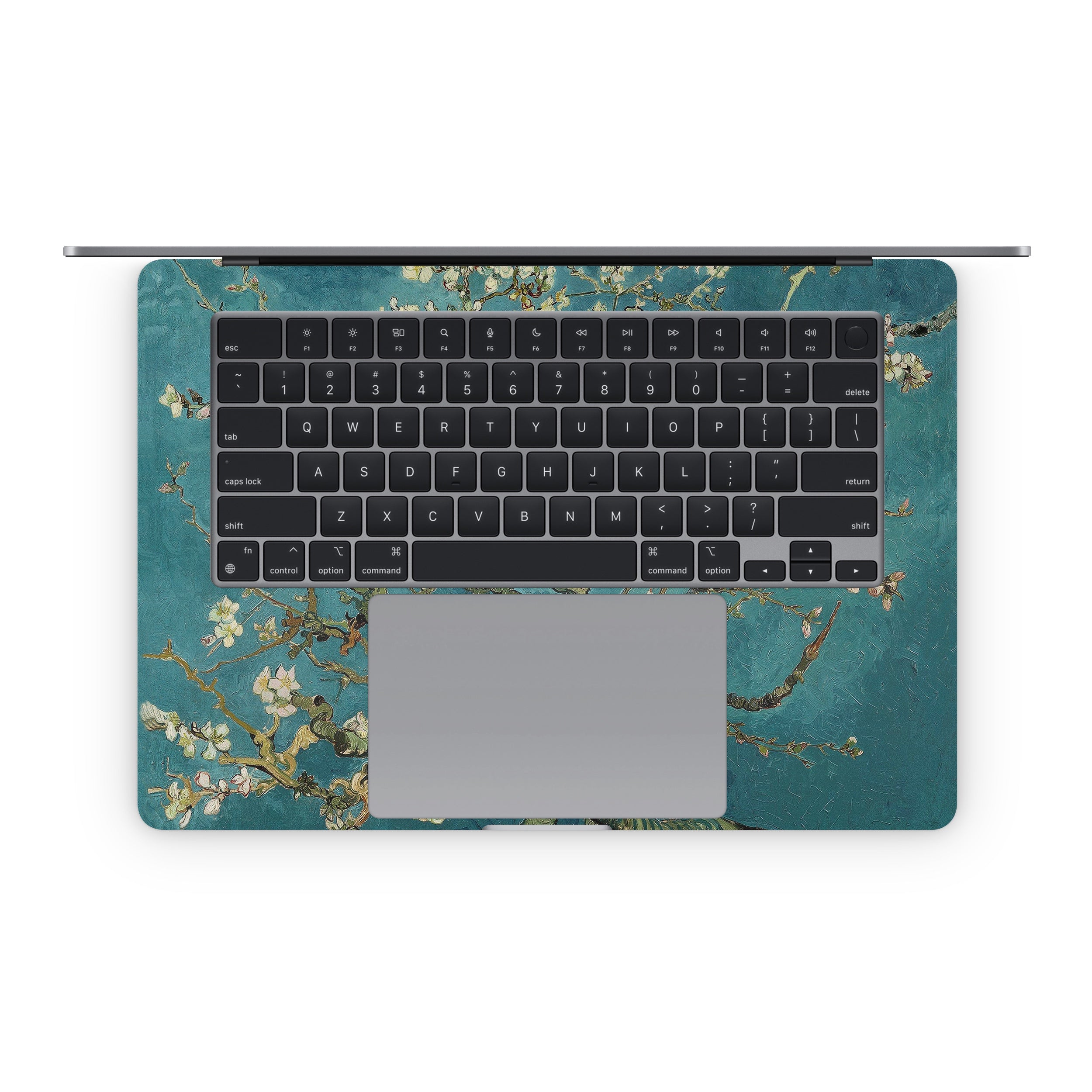 Blossoming Almond Tree - Apple MacBook Skin