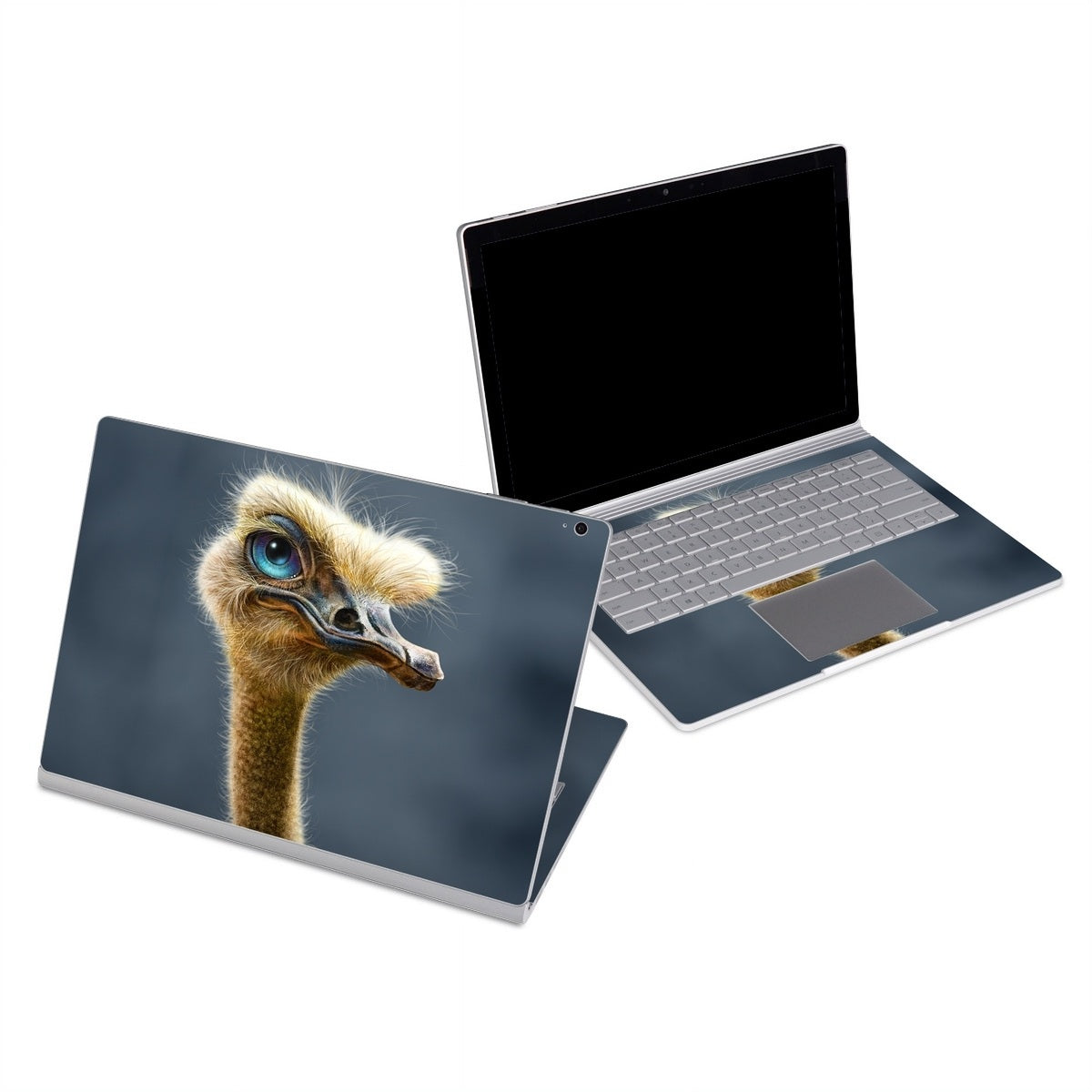 Ostrich Totem - Microsoft Surface Book Skin