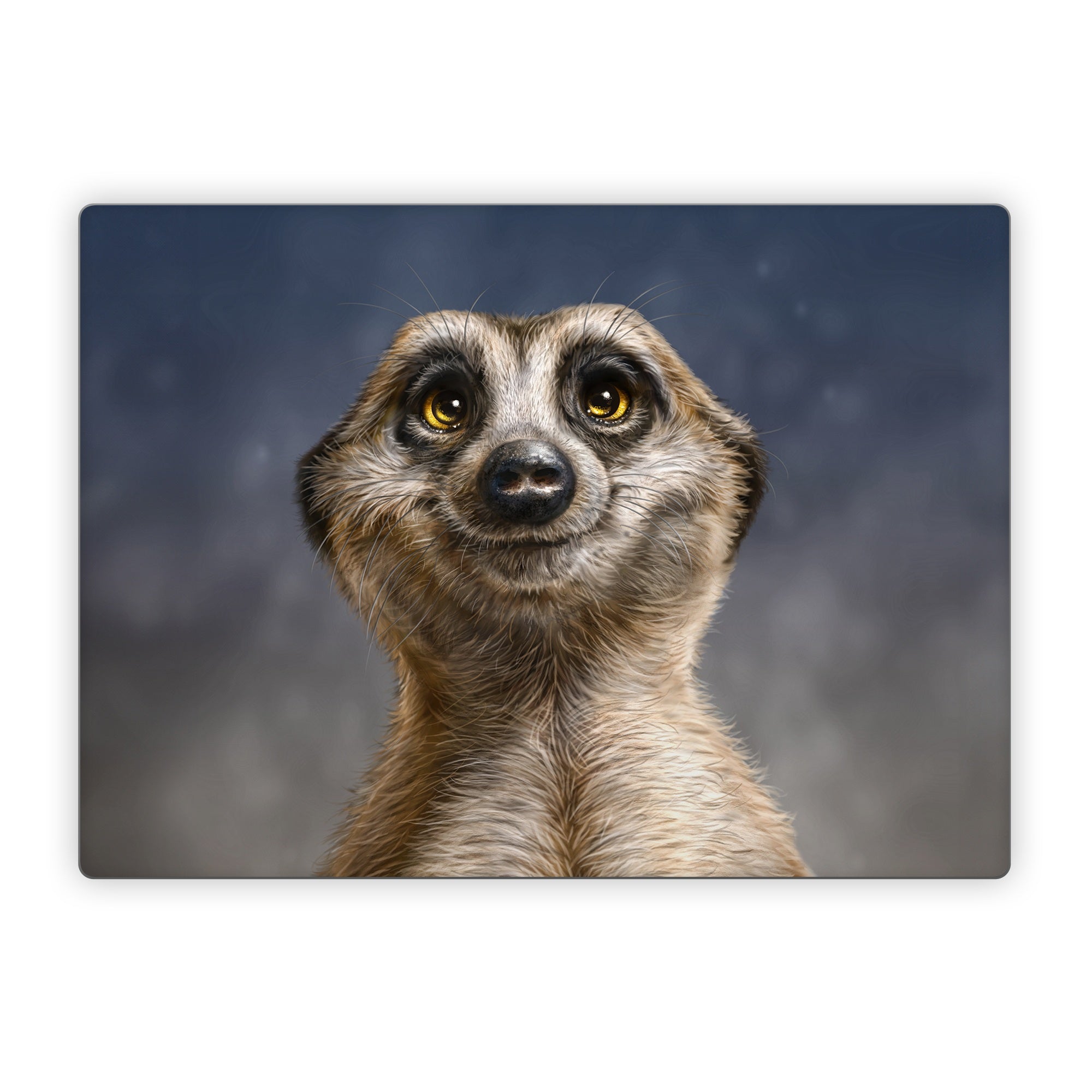 Meerkat - Microsoft Surface Laptop Skin