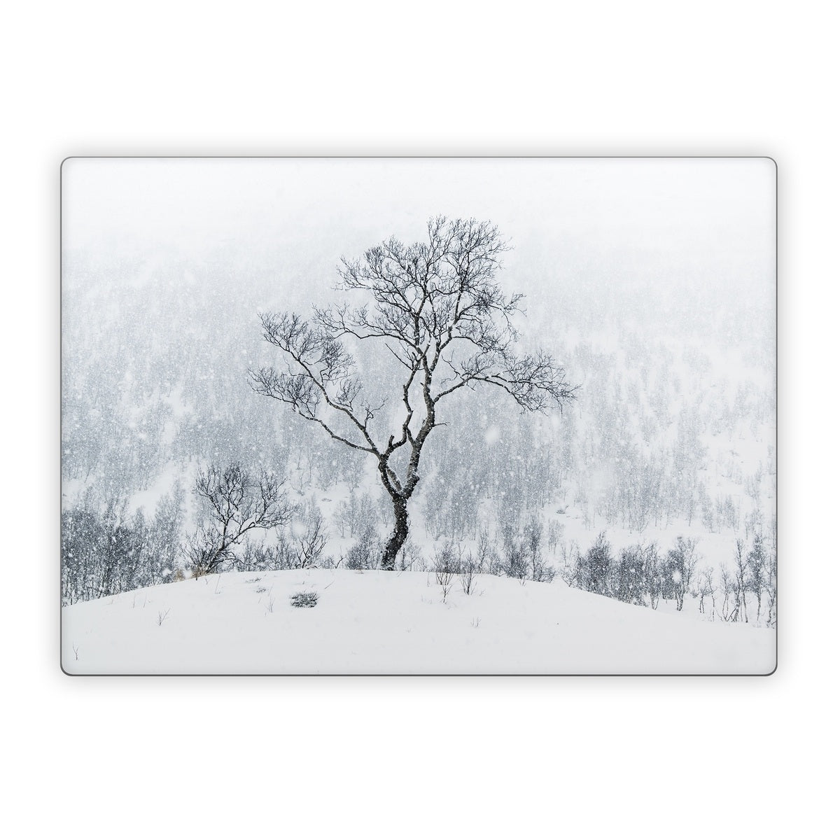 Winter Is Coming - Microsoft Surface Laptop Skin