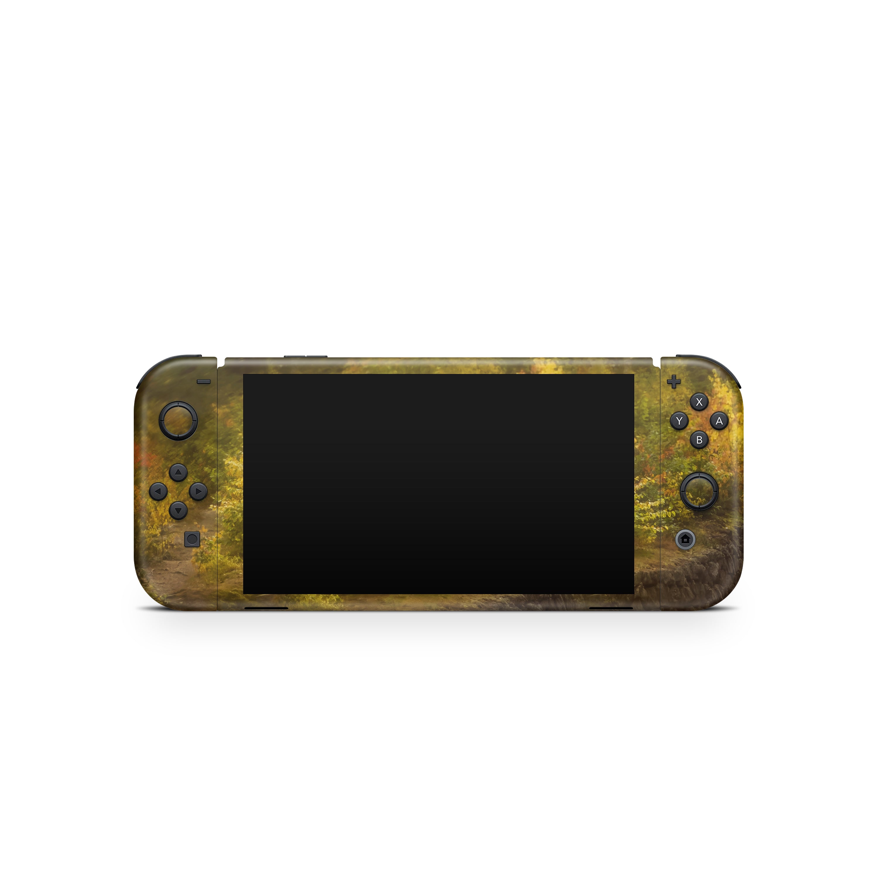 Bend In Time - Nintendo Switch Skin