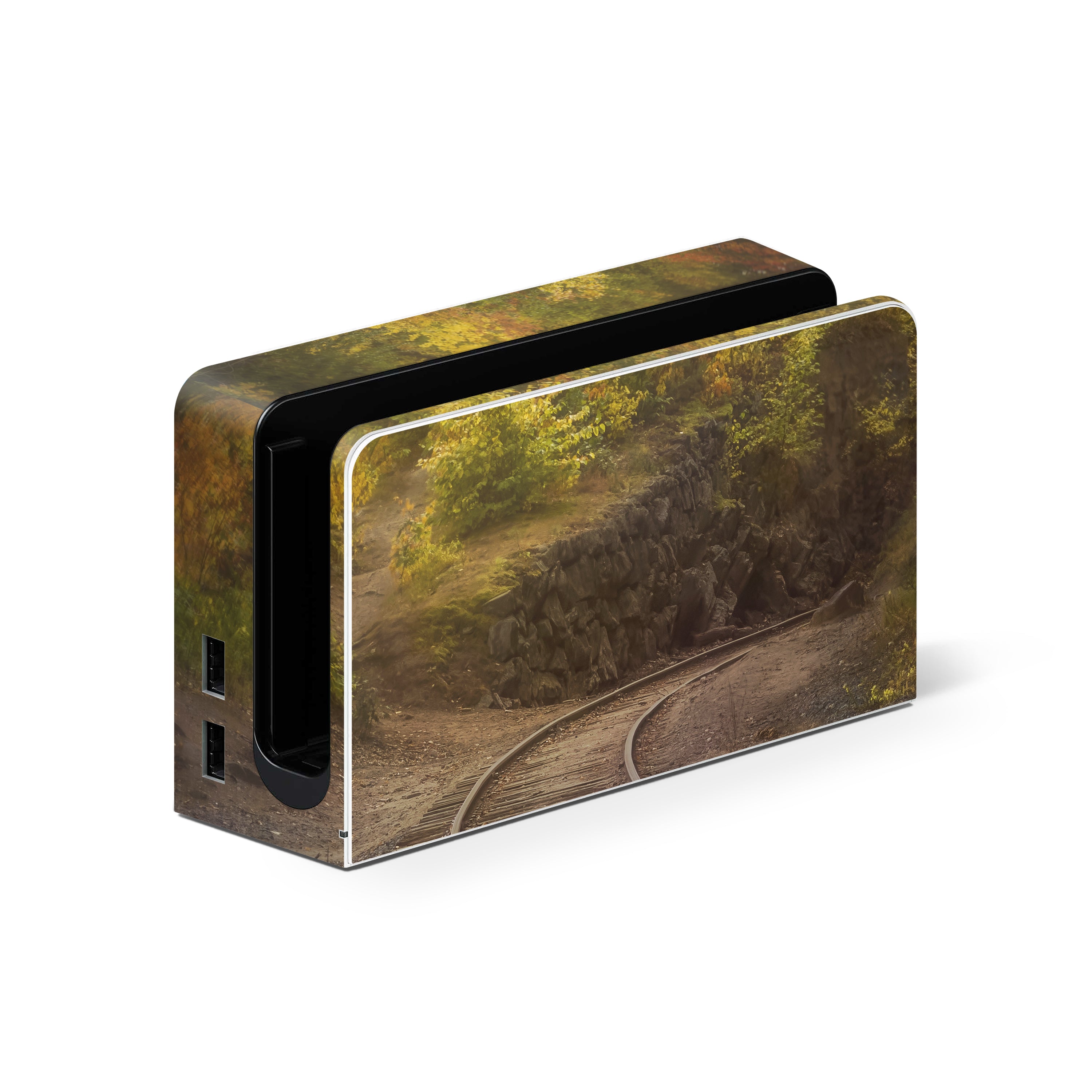 Bend In Time - Nintendo Switch Skin