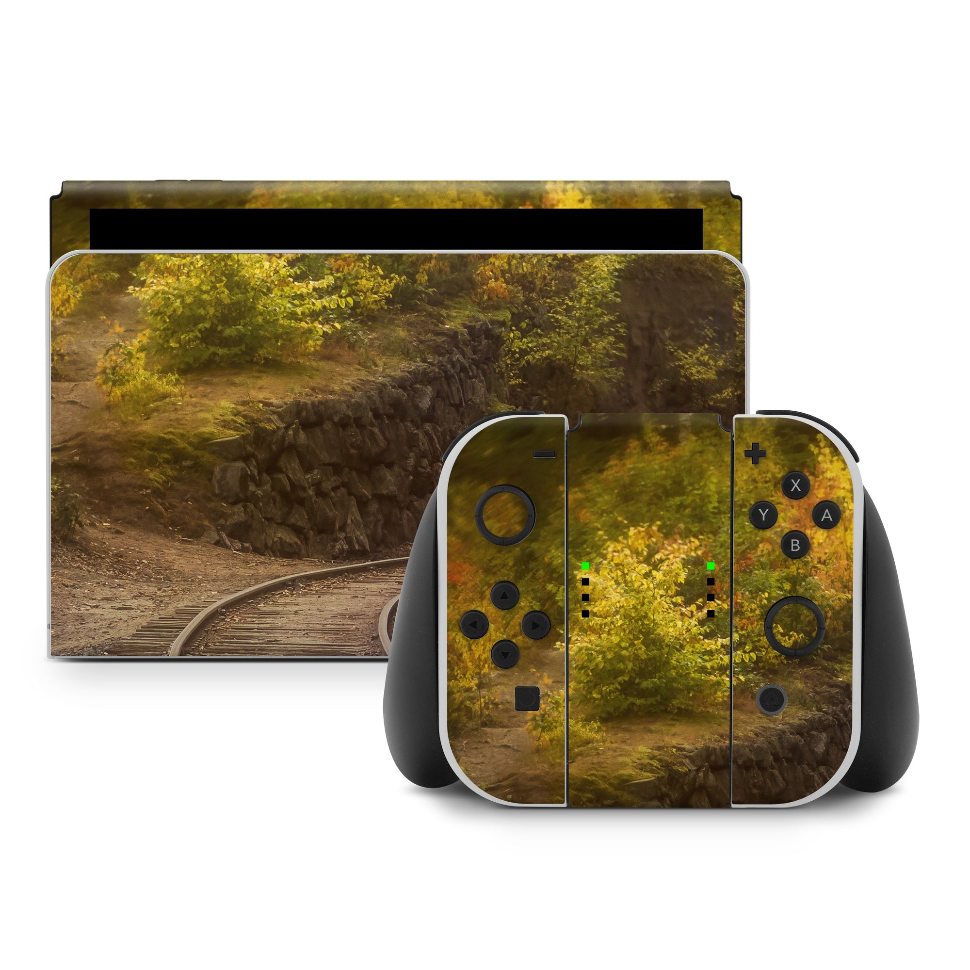 Bend In Time - Nintendo Switch Skin