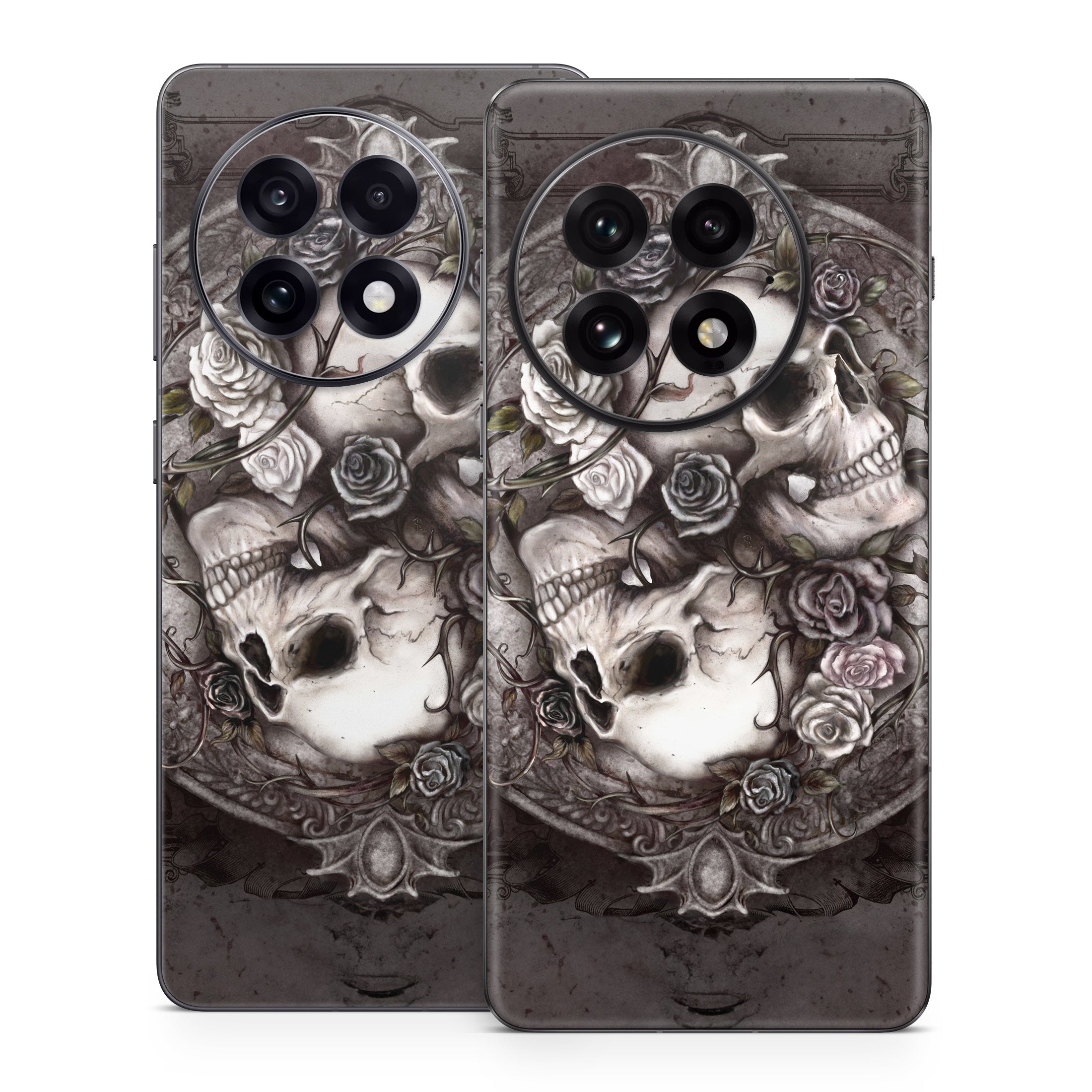 Dioscuri - OnePlus 13 Skin