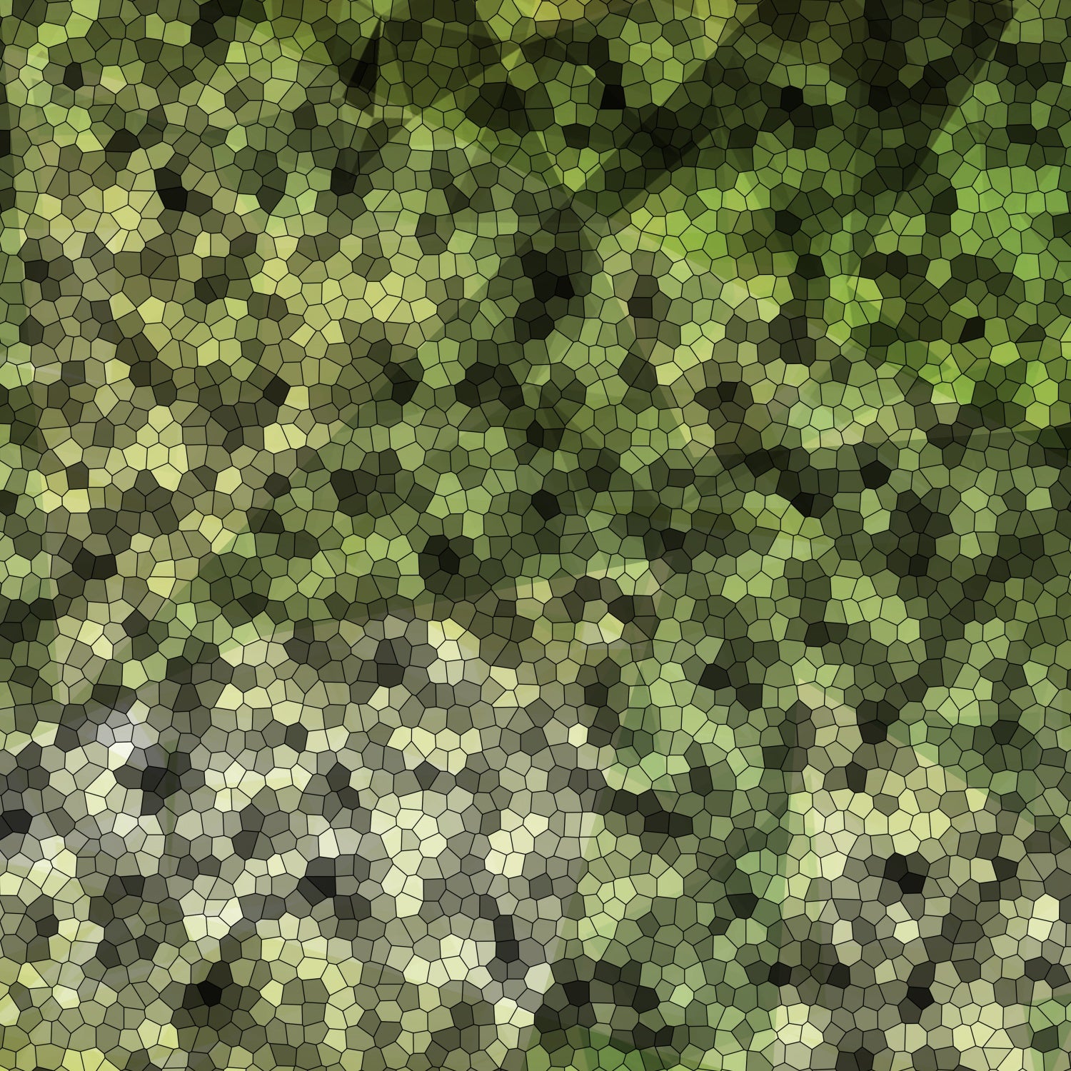 Seeking - DJI Air 2S Skin