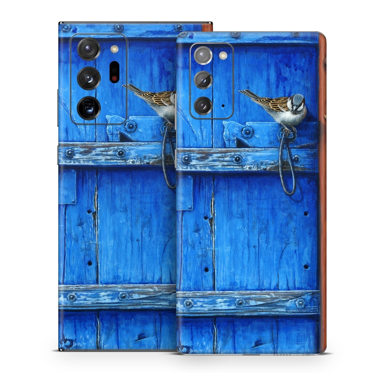 Blue Door - Samsung Galaxy Note 20 Skin