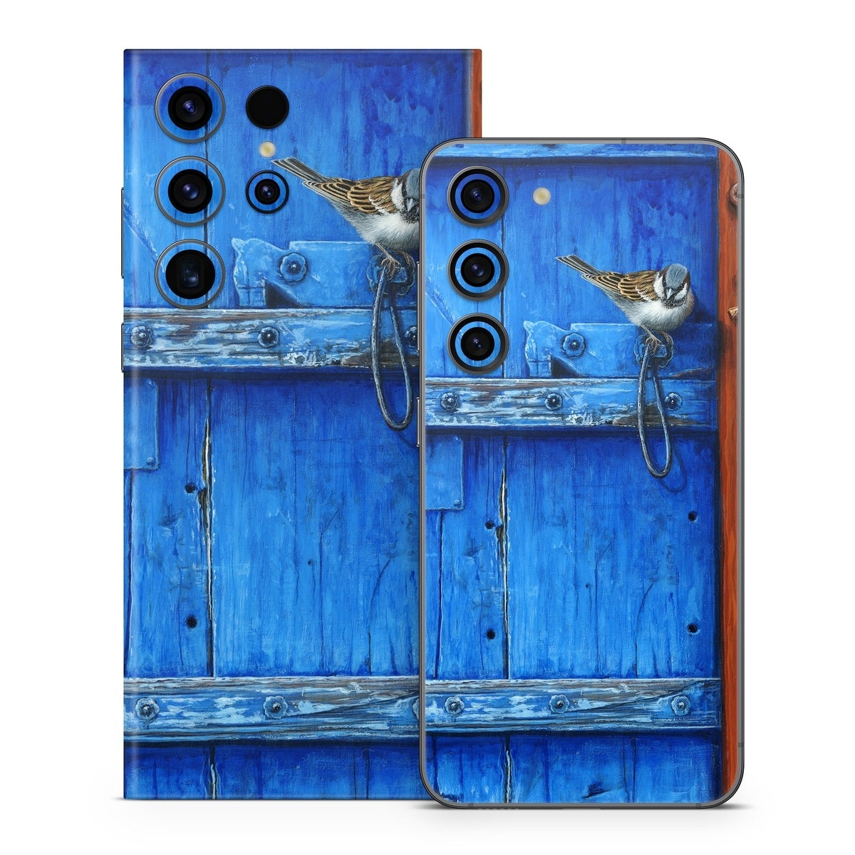 Blue Door - Samsung Galaxy S23 Skin