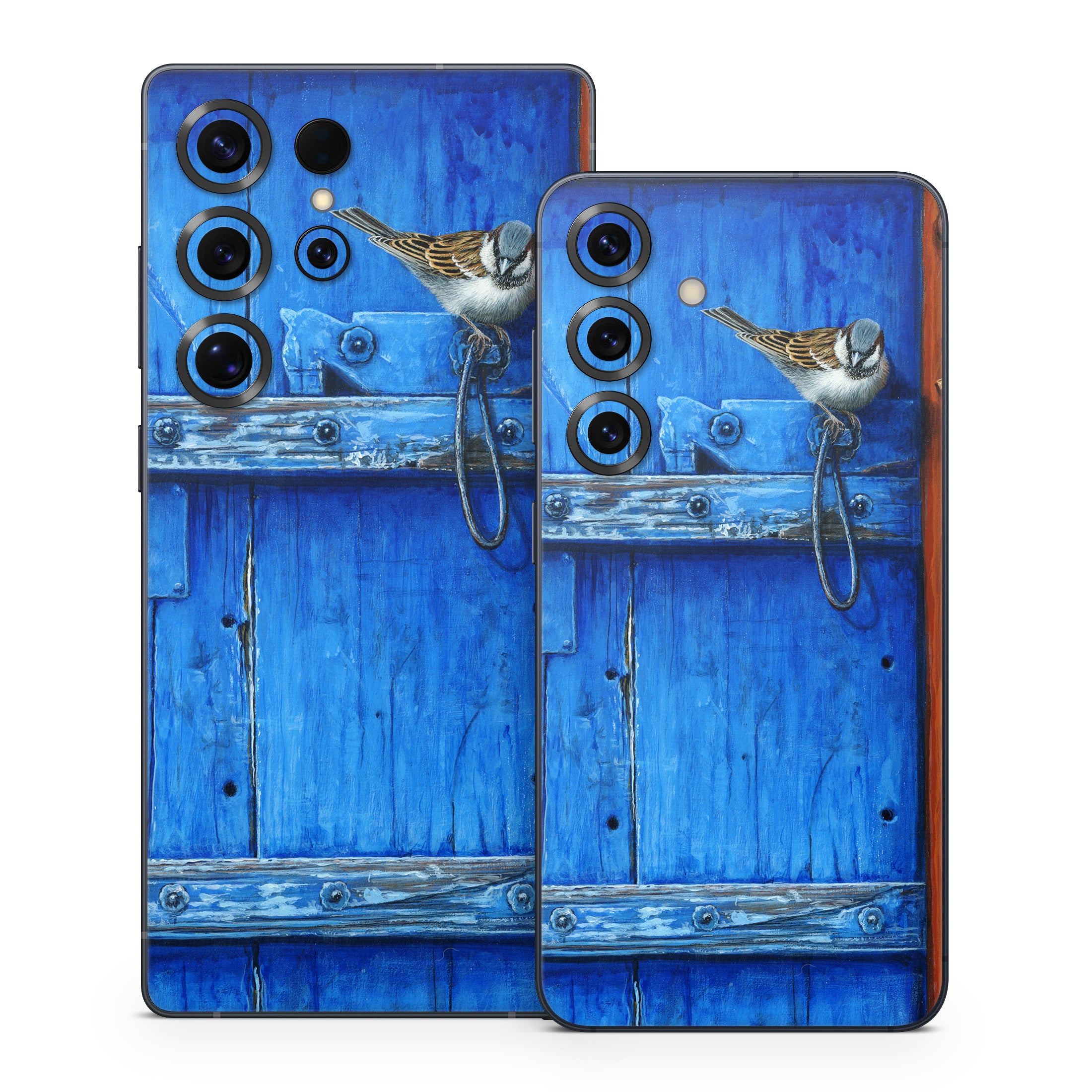 Blue Door - Samsung Galaxy S25 Skin