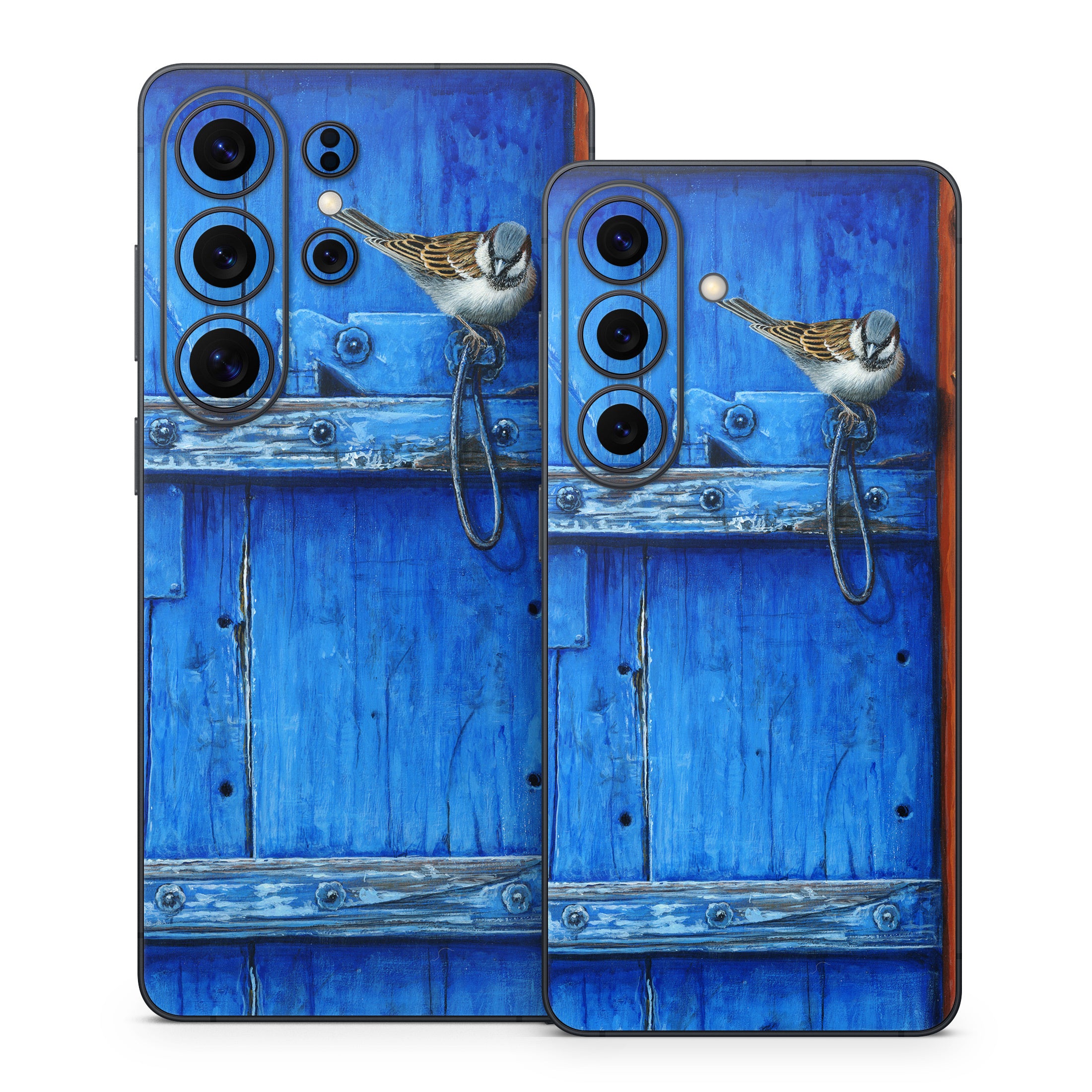 Blue Door - Samsung Galaxy S26 Skin