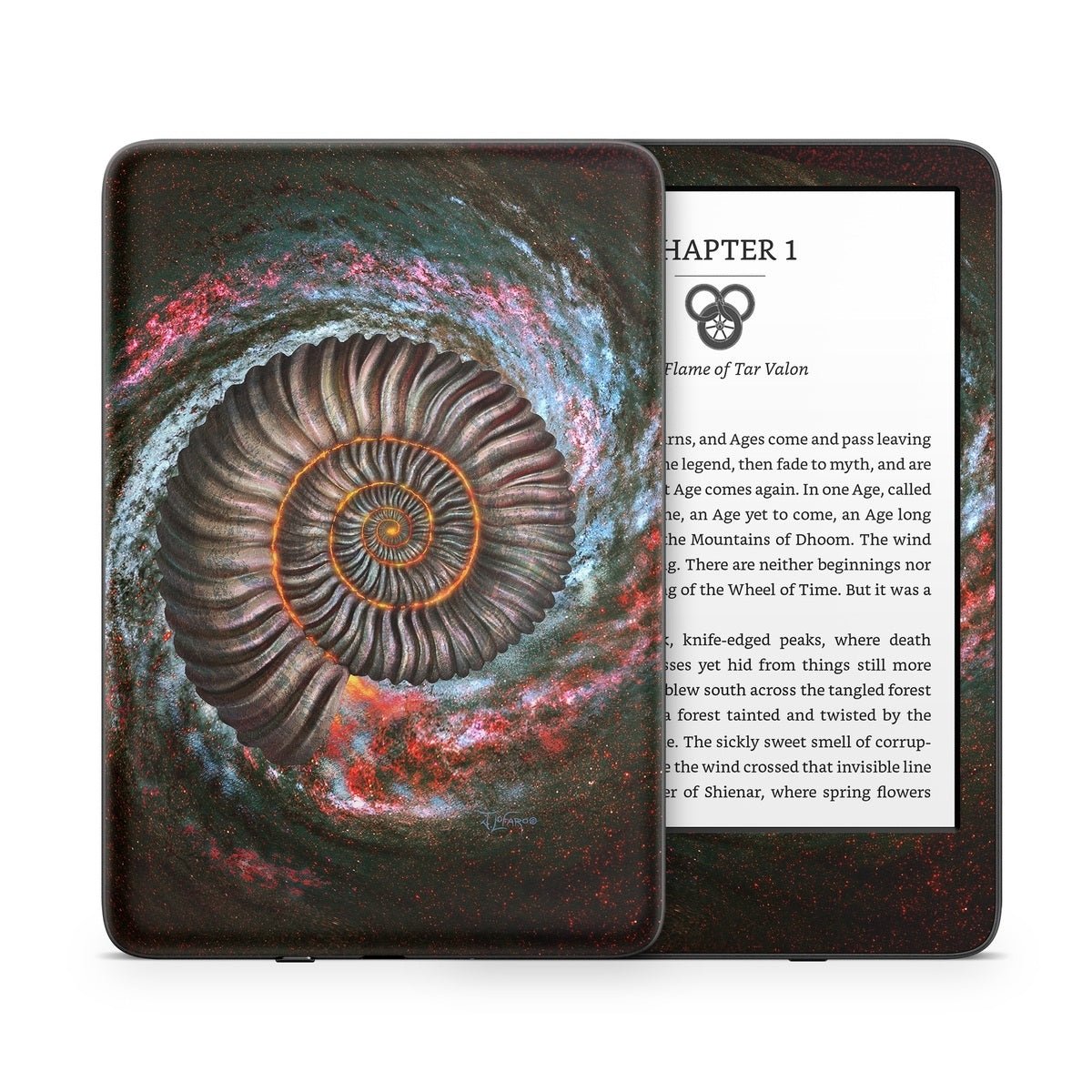 Ammonite Galaxy - Amazon Kindle Skin - Jerry LoFaro - DecalGirl